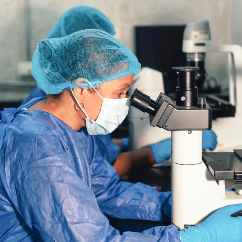 Employement Generation